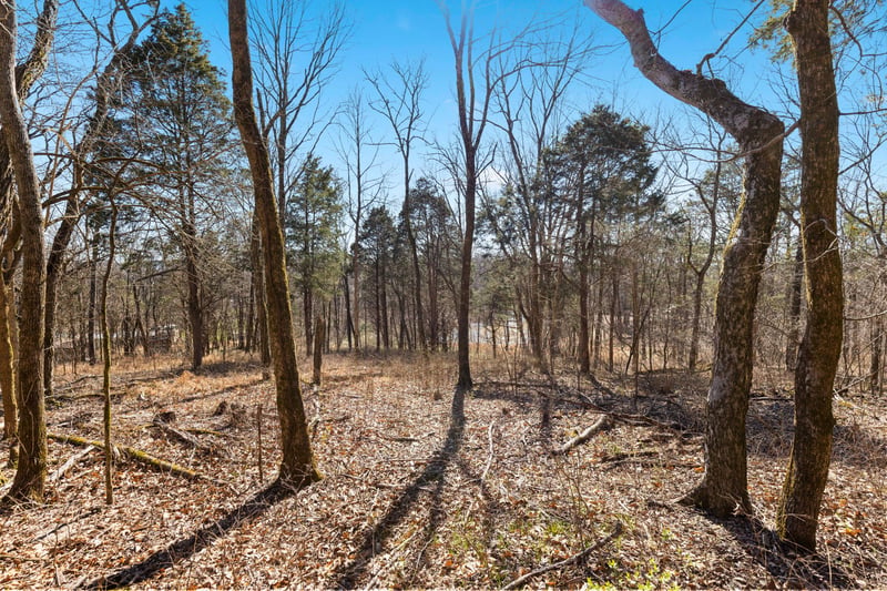 0 Chipman Rd, Bethpage, TN 37022