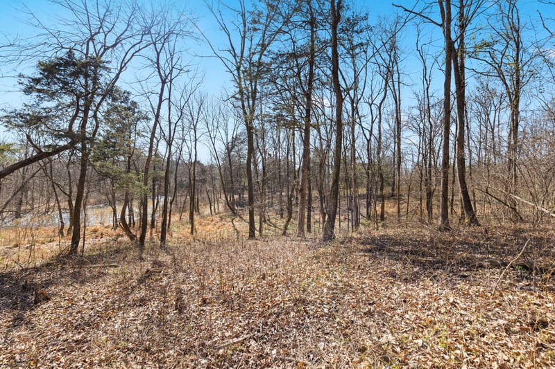 0 Chipman Rd, Bethpage, TN 37022