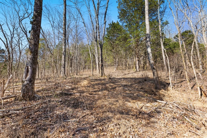 0 Chipman Rd, Bethpage, TN 37022