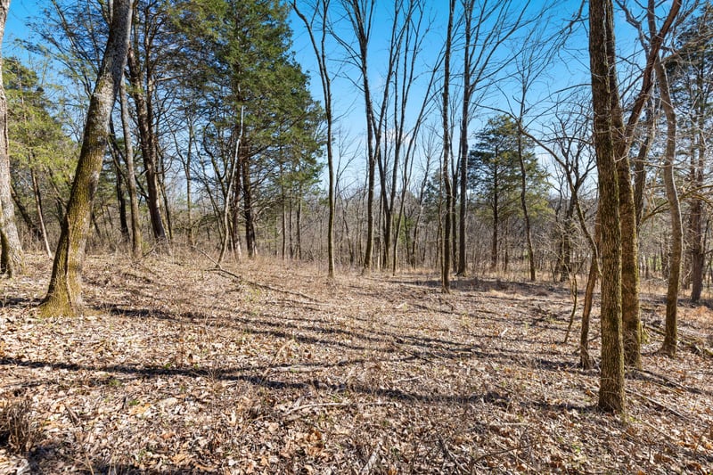 0 Chipman Rd, Bethpage, TN 37022