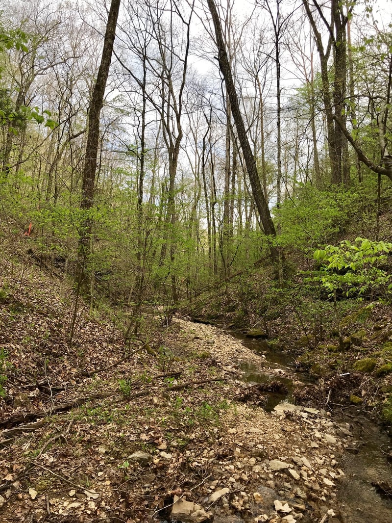 0 Higdon Rd, Joelton, TN 37080