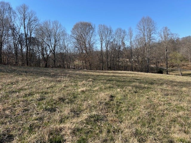 0 Freeman Loop, Cumberland Furnace, TN 37051