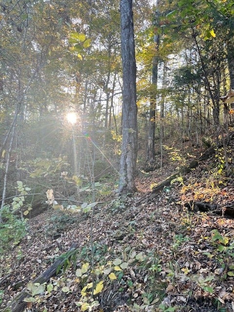 0 Brush Creek Rd, Fairview, TN 37062