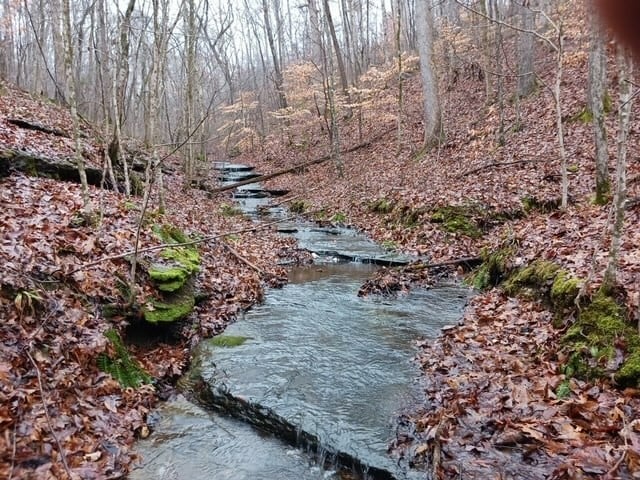 0 Brush Creek Rd, Fairview, TN 37062