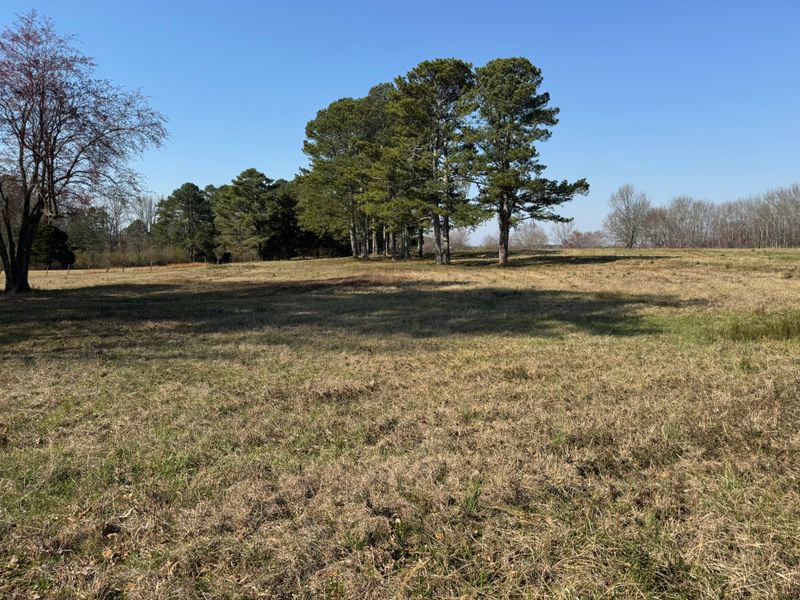 7A Mims St, Ardmore, AL 35739