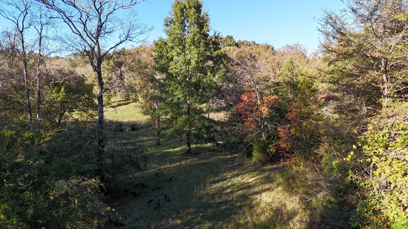 0 Akin Ridge Rd, Williamsport, TN 38487
