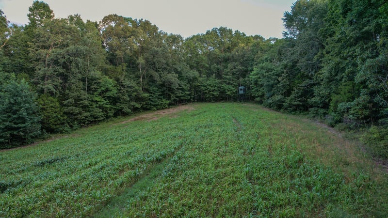 1651 Yellow Creek, Dickson, TN 37055