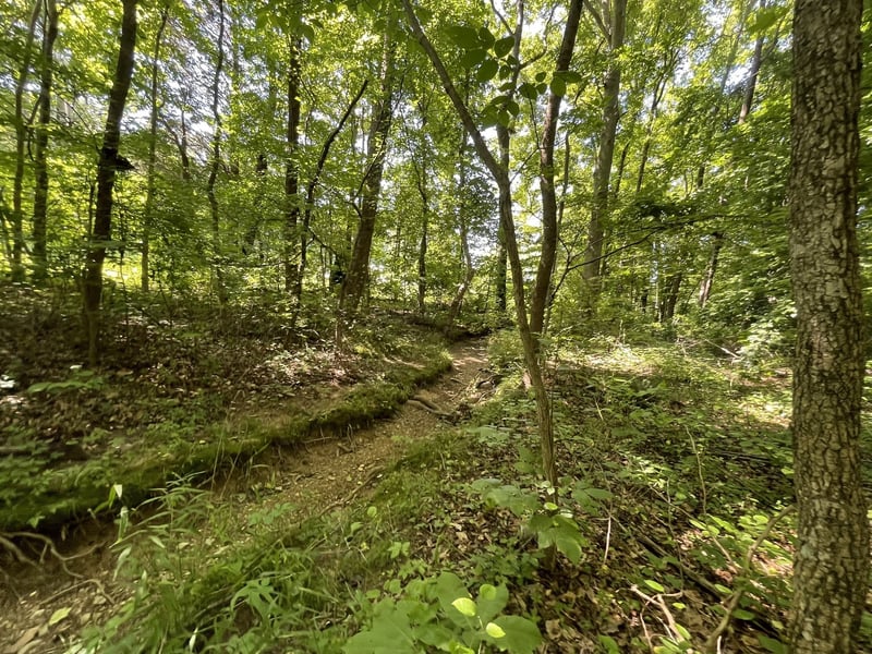 0 Old Clarksville Pike, Pleasant View, TN 37146