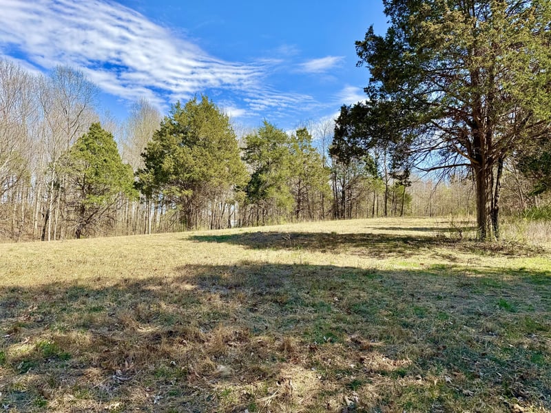 782B New Deal Potts Rd, Cottontown, TN 37048