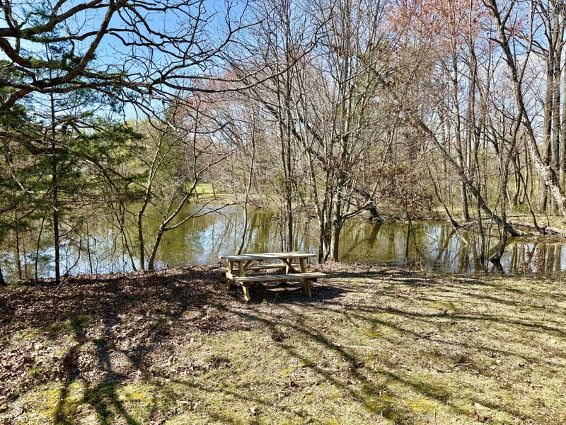 782B New Deal Potts Rd, Cottontown, TN 37048