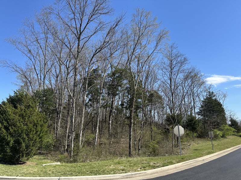 0 Wildcat Way, Lebanon, TN 37090