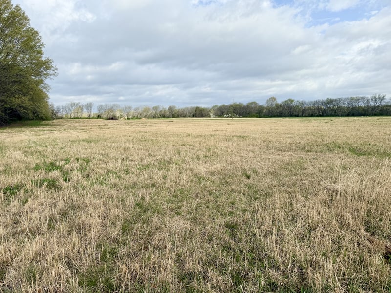 2471 Taylor Ln, Eagleville, TN 37060