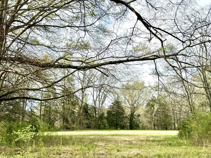 2471 Taylor Ln, Eagleville, TN 37060