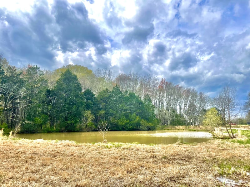 2471 Taylor Ln, Eagleville, TN 37060