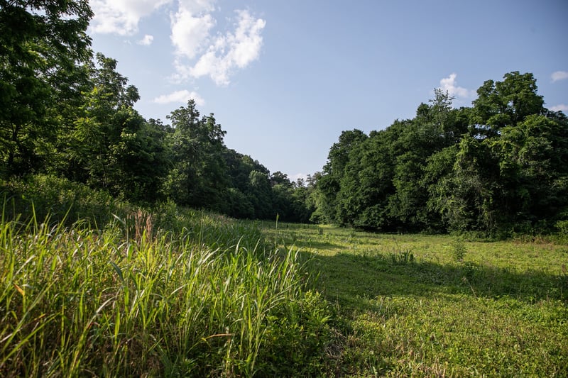 6607 Fox Branch Rd, Columbia, TN 38401