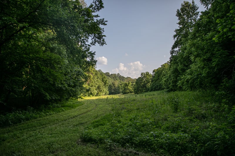 6607 Fox Branch Rd, Columbia, TN 38401