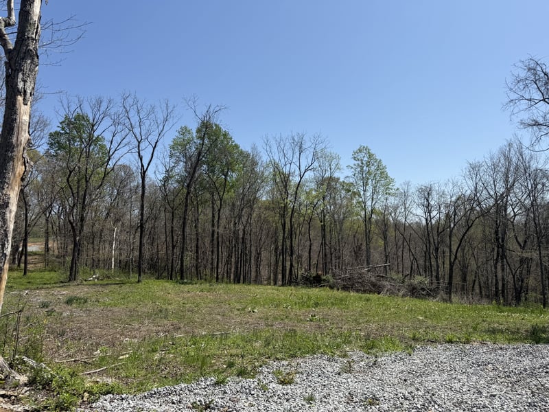 0 Highway 49 E, Charlotte, TN 37036