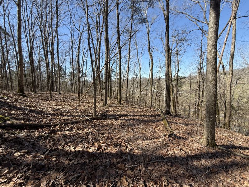 0 Bugg Hl, Gallatin, TN 37066