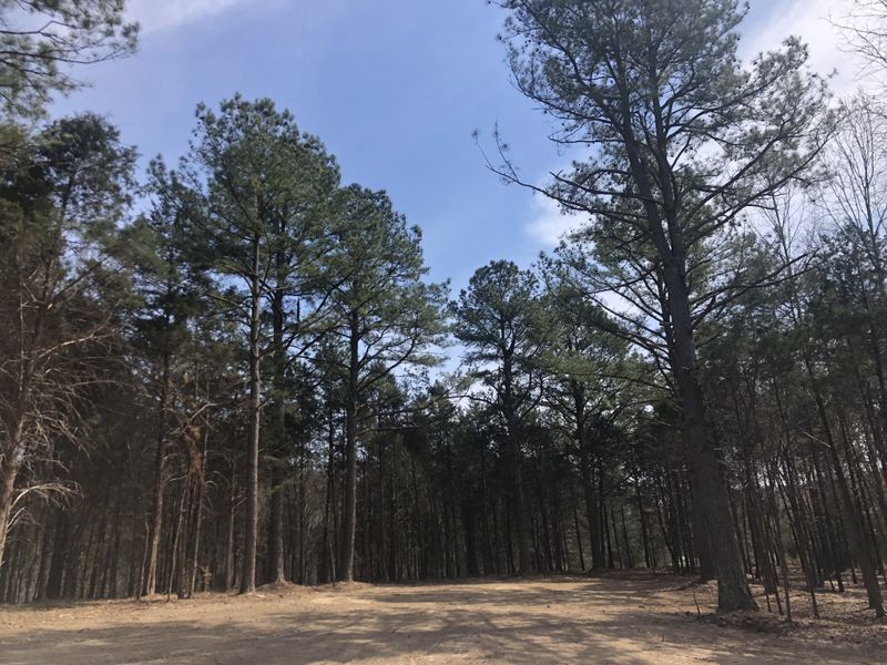 5 Daugherty Capley Rd, Primm Springs, TN 38476