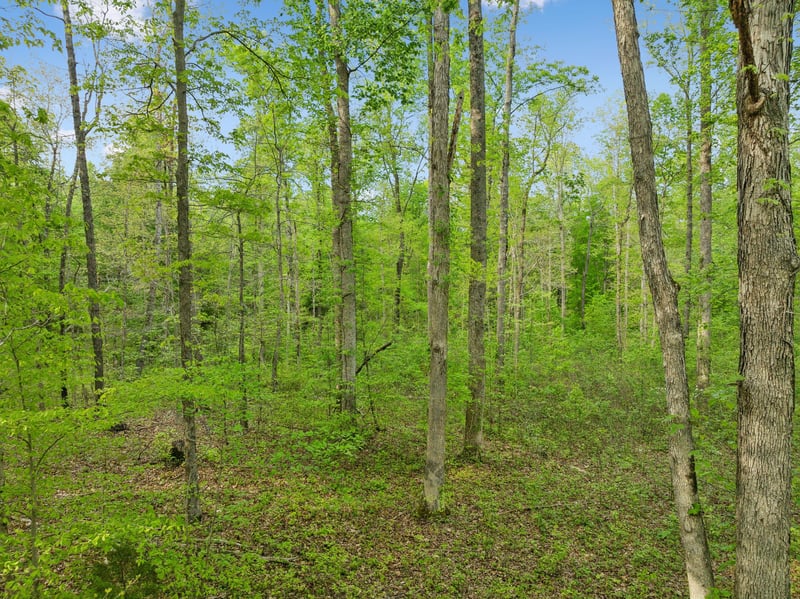 0 Bahne Rd, Fairview, TN 37062
