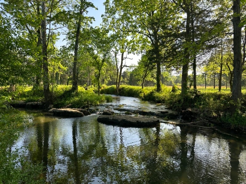 1645 N Lovvorn Rd, Christiana, TN 37037