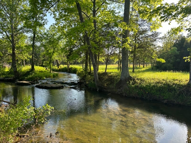 1645 N Lovvorn Rd, Christiana, TN 37037