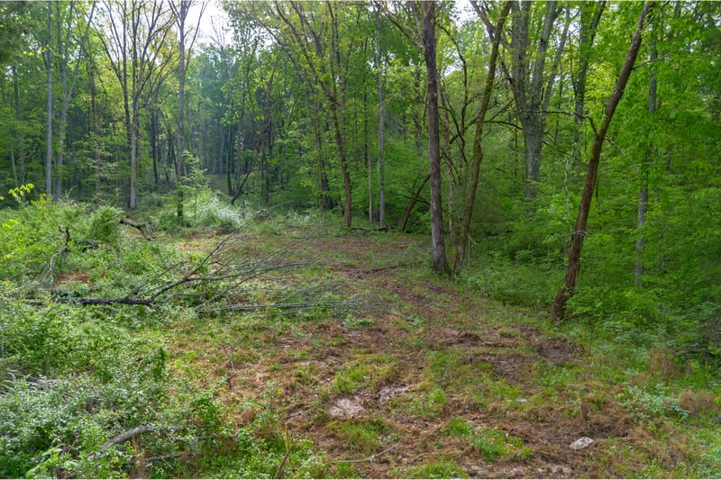6205 Hunters Point Pike, Lebanon, TN 37087