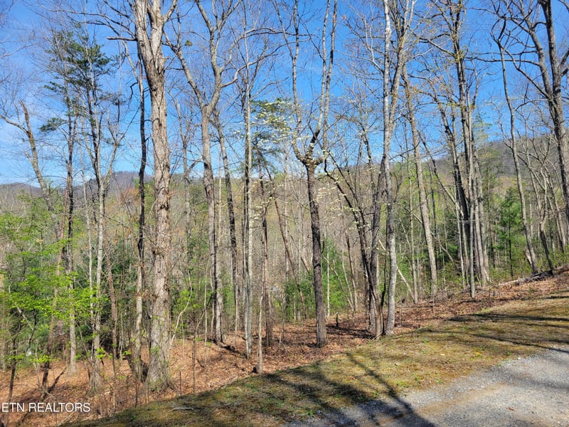 10 Black Oak Dr Lot 10, Sevierville, TN 37876