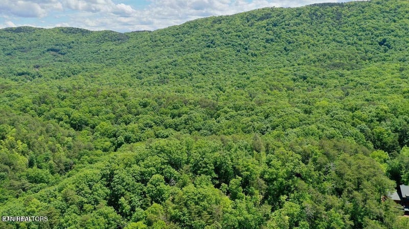 604 Solomon Seal Way Lot 39, Maryville, TN 37803