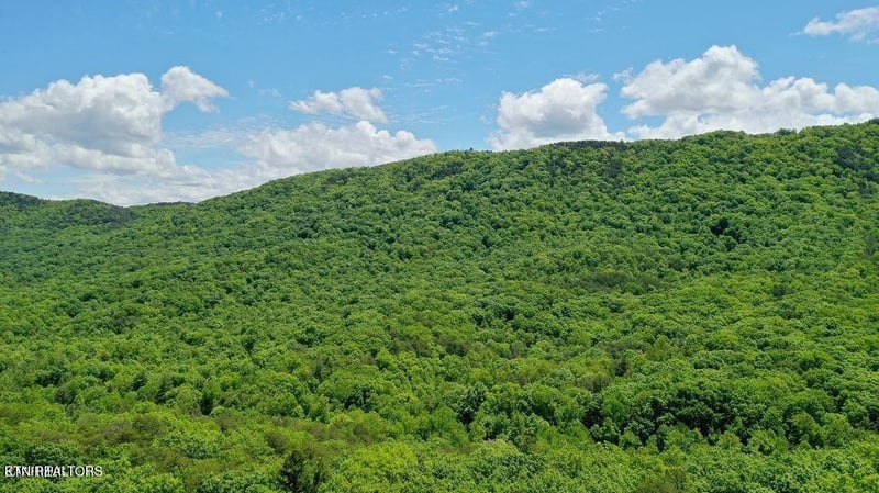 604 Solomon Seal Way Lot 39, Maryville, TN 37803