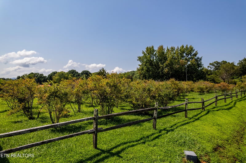 111 Harmon Rd, Maryville, TN 37804
