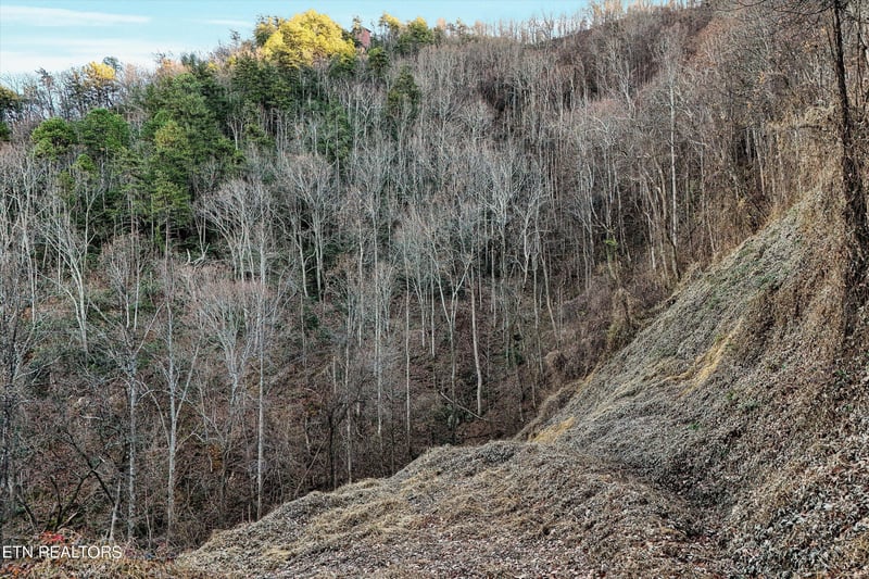67 Balsam Slopes Rd Lot 7, Sevierville, TN 37862