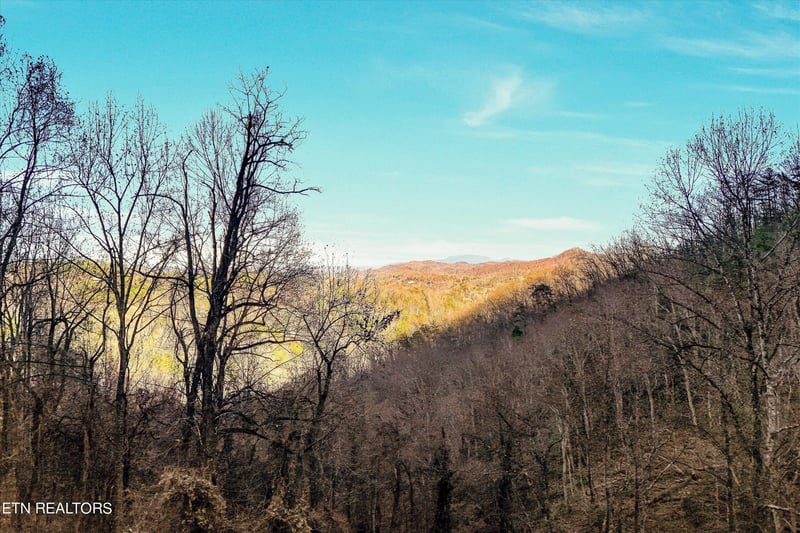 67 Balsam Slopes Rd Lot 7, Sevierville, TN 37862