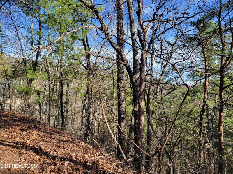 9 Eagle Point Lot 9, Sevierville, TN 37876