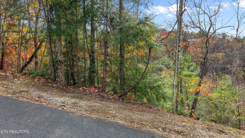 756 Ski View Ln Lot 246, Sevierville, TN 37876
