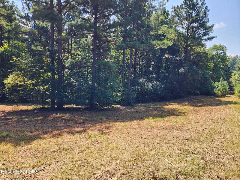 1743 Grand Pine Point Lot 14, Maryville, TN 37801