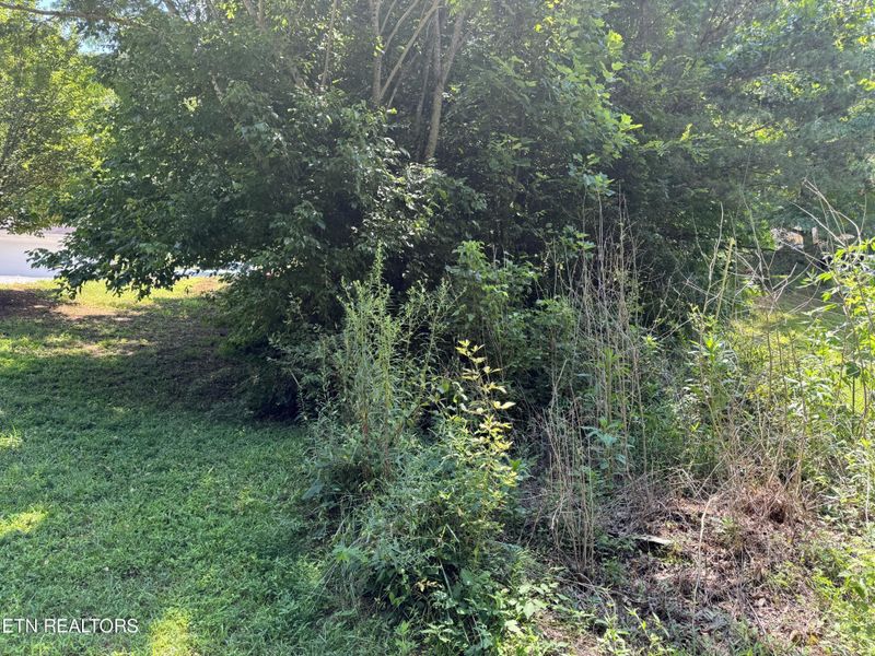 2262 Mcspadden Rd, Maryville, TN 37803