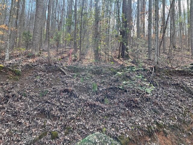 0 Grey Fox Rn Lot 3, Sevierville, TN 37862