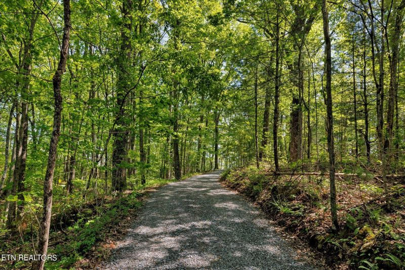 8 Cove Creek Way, Sevierville, TN 37862