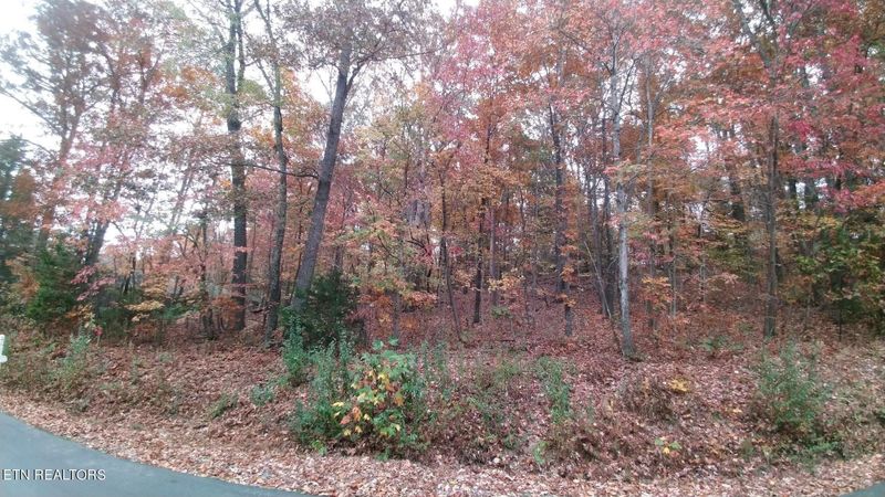 213 Oostanali Way Lot 2, Loudon, TN 37774