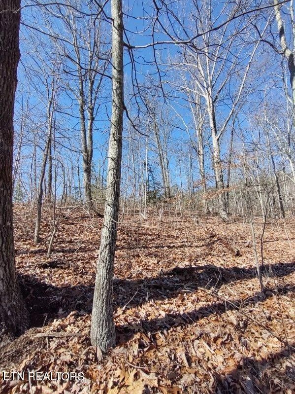 15 Hickory Tree St, Sevierville, TN 37876