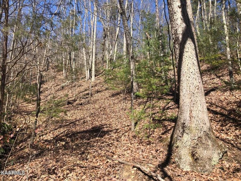 18 Alpine Dr Lot 18, Sevierville, TN 37876