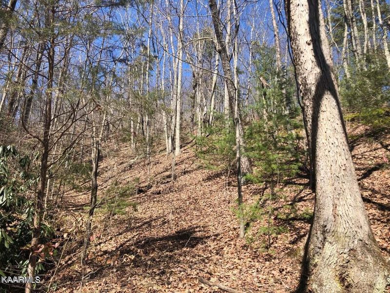 18 Alpine Dr Lot 18, Sevierville, TN 37876