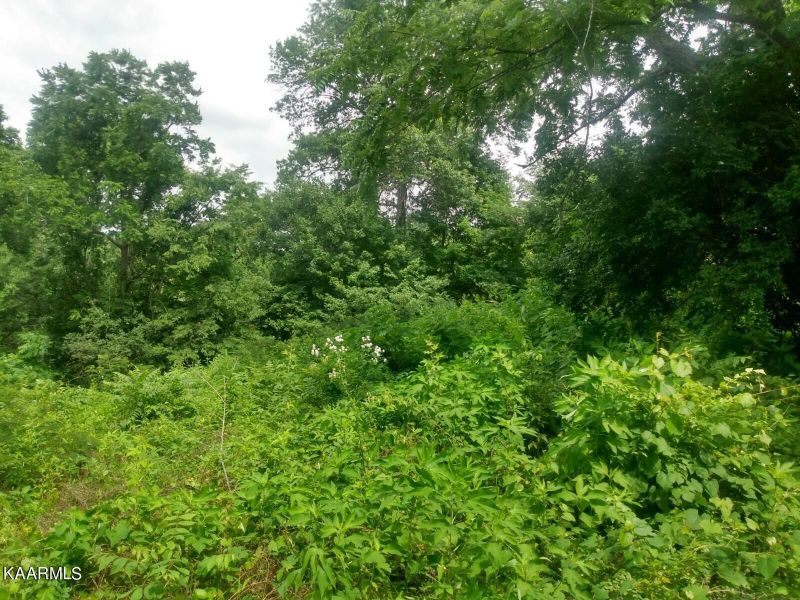 0 Ne Bluet Rd, Knoxville, TN 37918