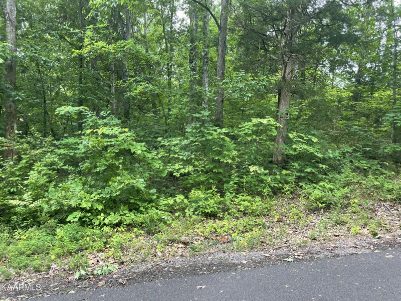 48 Driftwood Cir, Sevierville, TN 37876