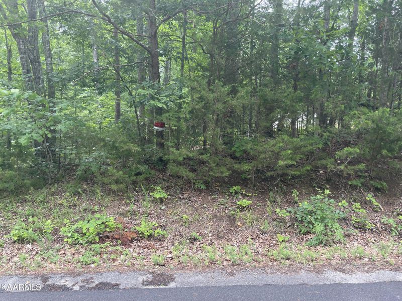 48 Driftwood Cir, Sevierville, TN 37876