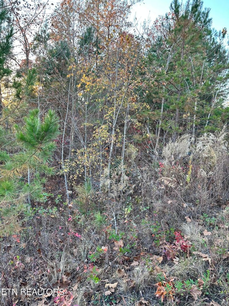 931 Eagle Nest Dr Lot 227, Loudon, TN 37774