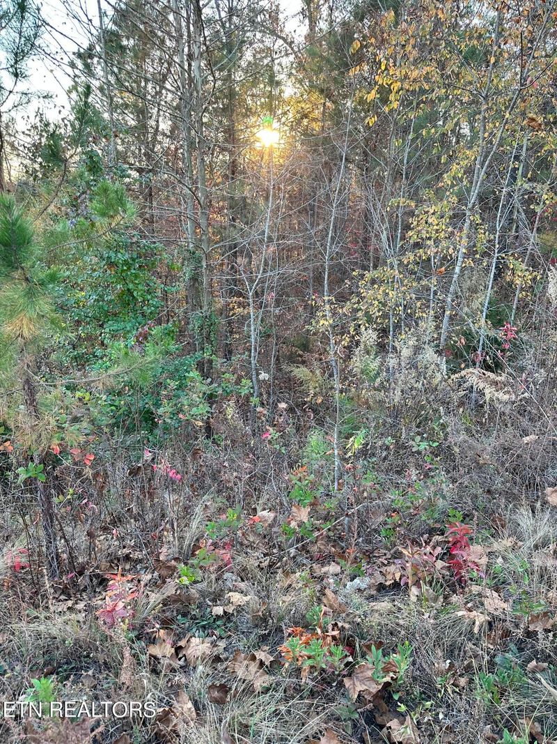 931 Eagle Nest Dr Lot 227, Loudon, TN 37774