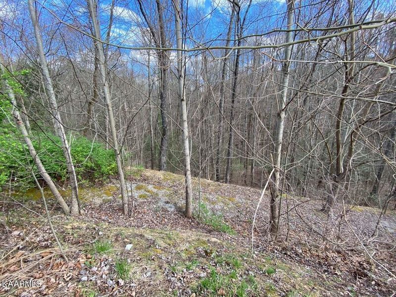 0 Jones Creek Ln Lot 171E, Sevierville, TN 37862