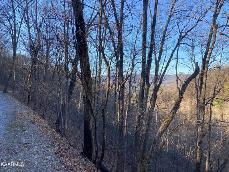 18 Sugar Maple Loop Rd, Sevierville, TN 37862